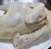 温润食品岭南特色跑步童子鸡650g*2 走地鸡土鸡嫩鸡 红烧白切盐焗爆炒烧烤 实拍图