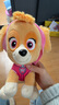 汪汪队立大功（PAW PATROL）汪汪队玩具毛绒全套狗狗玩偶公仔男女孩玩具旺旺队圣诞礼物 经典款-天天公仔【需选尺寸】 中号-坐或站高约17~22.9CM 实拍图