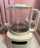 新贝恒温水壶 恒温壶婴儿冲奶 调奶器温奶器暖奶器烧水壶养生壶8236 实拍图