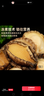 德叔鲍鱼无壳鲍鱼肉100g（约10粒）鲜活鲍鱼加工冷冻鲍火锅烧烤海鲜食材 实拍图