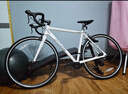 喜德盛公路自行车RC200入门休闲14速变速铝合金车架公路车 2025款RC200 白/灰 700C*510（建议身高175-185） 实拍图
