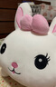 蓓斯曼【当次日达】毛绒玩具女生公仔趴趴兔子睡觉抱枕布娃娃玩偶陪睡生日礼物送女生夹腿布偶女孩儿童抱枕 粉色开心每一天蝴蝶结兔 1米 实拍图