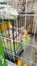 憨憨宠 狗笼猫笼 狗笼子小型犬带厕所幼犬折叠便携猫笼子宠物笼具兔笼 【精品真加粗】狗丝 52*36*42cm 实拍图