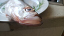 品鲜肴淡水鱼生态翘嘴鱼白鱼/翘嘴鲌大白刁鱼自然捕获鲜活现杀生鲜水产 500g /条（宰杀后三去净重400g） 实拍图
