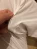 三枪【柔软抗静电】秋裤男薄款全棉高腰弹力男士保暖裤打底棉长裤 实拍图