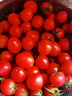 千禧圣女果新鲜小番茄樱桃小柿子孕妇水果现摘现发新鲜蔬菜 新鲜圣女果 5斤 实拍图