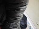 雪中飞男女立领秋羽绒百搭轻薄鸭绒立领修身轻盈隐藏式口袋 梦幻灰|8051-男 XL 180/100A 实拍图