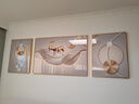 诗六艺家饰客厅装饰画北欧现代简约沙发背景墙挂画三联画大气轻奢壁画晶瓷画 羽鹿生辉（铝合金外框） 镶钻画左右60*80+中间120*80亮面 实拍图
