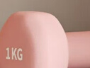 Keep 彩色浸塑哑铃 男女家用家庭健身肌肉塑形手臂轻重量紫灰色 3kg*2 实拍图
