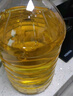 金龙鱼 食用油 非转基因 物理压榨玉米油6.18L（蕴含植物甾醇） 实拍图