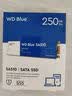 闪迪（SanDisk）笔记本台式机电脑 SSD固态硬盘 SA510 SATA M.2 Blue系列 3D技术 高速读写 WD Blue M.2 | 性能款 250G 实拍图
