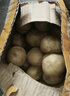 播州鲜贵州新鲜土豆高山马铃薯土豆黄皮黄心土豆5斤农家自种蔬菜 新鲜黄皮土豆2斤 （净重） 实拍图