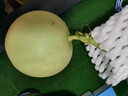 新鲜头茬香甜冰激淋玉菇甜瓜当季新鲜水果 美味可口1.5-2斤装 实拍图