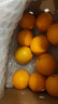 京鲜生 当季鲜橙 5斤装 单果140g起 生鲜水果礼盒 实拍图