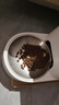 小佩智能自动喂食器SOLO白色 猫碗猫狗喂食器定时定量猫咪自动投食器 实拍图