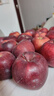 山姆大叔正宗甘肃天水花牛苹果【顺丰速运-可送货上门】蛇红果面粉脆水果 S+稀有果王（单果约80mm+） 10斤装【家庭聚会-蕞划算】净8.5斤 晒单实拍图