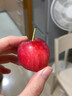 映棠 东北鸡心果5斤【顺丰快递—多地次日达】海棠果玫瑰小苹果礼盒装 3斤大果【人工精选】 现摘现发 实拍图