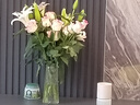 杜邦（DUPONT）平板小推车折叠手拉货买菜推车塑料搬运拉杆拖车 200km【万人热评】低噪800斤大号 实拍图