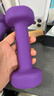 PROIRON普力艾 浸塑哑铃女士家用纯铁小哑铃儿童初学者健身 紫色1.5kg*2 实拍图