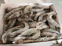 万景 北海鲜冻白虾 国产白虾 单冻无冰净重4斤 100-120只 家庭聚餐  实拍图