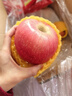 佳农 烟台红富士苹果 净重10斤大果 果径85mm+ 生鲜水果礼盒 实拍图