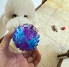 贵为（GiGwi）狗玩具发声玩具球G-Ball橄榄小号透明色磨牙耐咬小型犬发声球 实拍图