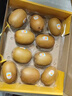 佳沛（zespri）新西兰  阳光金奇异果10粒礼盒巨大果单果约144-175g 水果 猕猴桃 实拍图