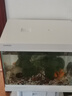 森森（SUNSUN）超白鱼缸一体缸自循环客厅桌面小型家用水族箱HEJ-380 实拍图