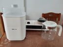 小熊（Bear）全玻璃恒温壶二合一 消毒调奶一体机 奶瓶消毒带烘干1.2L热门商品 实拍图