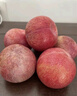 京鲜生新疆恐龙蛋李 净重3斤装 单果50-70g 生鲜水果 源头直发包邮 实拍图