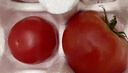 京鲜生陕西沙瓤西红柿 净重4.5斤 单果100g+ 沙瓤番茄源头直发  实拍图