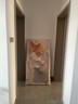 好久不见家大业大玄关装饰画现代简约入户走廊过道壁画抽象艺术挂画 实拍图