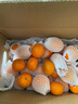 京鲜生 进口小蜜橘/蜜桔净重3斤装 单果40g起 柑橘桔子 新鲜水果 实拍图