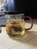 雅集玻璃杯一叶菩提杯500ml男女士办公家用耐热玻璃泡茶茶水分离杯子 实拍图