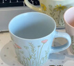 炊大皇马克杯炻瓷陶瓷水杯子女生高颜值情侣杯礼物茶杯350ml（绣球蓝） 实拍图