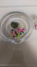 水培玻璃花瓶透明碗莲荷花铜钱草盆缸养睡莲的专用花盆鱼缸植物器 1个小号肚径15厘米 加厚材质 实拍图