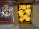 田拾记正宗赣南早脐橙【多地次日达】江西赣州直发新鲜橙子应季水果礼盒 10斤家庭装【高性价比】净9斤 【精选橙】单果180-200g（多汁爽口） 实拍图