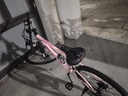 飞鸽（FLYING PIGEON）山地自行车成人男女变速山地车青少年中小学生车越野户外骑行单车 【高碳钢】G8002代-辐条轮-粉色 26寸轮组（适合160-180cm） 21速入门版 实拍图