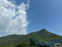 竹盐 2-12岁萌趣儿童按压式牙膏160g 葡萄味 口腔低氟防龋 热门商品 实拍图