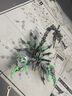 机械昆虫可动仿真蝎子精密金属拼装模型立体拼图创意diy手工玩具 【绿魔蝎】限时特价 实拍图