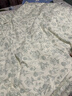 艾薇 A类水洗棉双层纱被套单件单双人被套被罩单件200*230cm 海像森林 实拍图