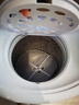 志高脱水机单甩干脱水机干桶甩干机小型迷你家用甩干桶出租房宿舍大容量单杠脱水桶烘干一体机以旧换新 12公斤【玻璃盖加厚不锈钢桶杀菌款】三年免费换新 实拍图
