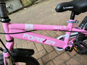 永久（FOREVER）儿童自行车3-6-10-12岁儿童单车男孩童车女童自行车 樱花粉 一体轮 运动款 16寸【适合身高105-135】 实拍图