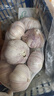 山东金乡蒜大蒜出口标准精选大蒜头蔬菜调料单果5cm 网兜装袋5头 150g 5-5.5cm特大 实拍图