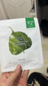 一叶子面膜补水天才润养酵素深度补水面膜保湿弹润提亮肤色提拉紧致淡纹 【共50片】亮颜10+补水20+弹滑20 实拍图