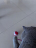 HELLOJOY猫咪玩具自嗨解闷神器智能电动逗猫球自动逗猫棒幼猫遛猫消耗体力 实拍图