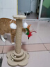 HELLOJOY猫抓柱剑麻猫抓板猫玩具耐抓耐磨不掉屑猫爬架立式自嗨解闷用品 实拍图
