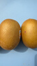 佳沛（zespri）新西兰  阳光金奇异果10粒礼盒巨大果单果约144-175g 水果 猕猴桃 实拍图