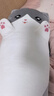 熊猫熊猫咪抱枕玩偶毛绒玩具女孩公仔大号布娃娃毕业礼物男孩送女朋友生日礼物女生陪睡觉抱枕夹腿长条成人1.3m 实拍图