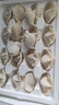 思念 金牌虾水饺至臻虾皇480g*3袋共96只 虾饺速食食品蒸饺煎饺半成品 实拍图